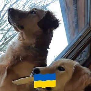 Meet your Posher, Ruth